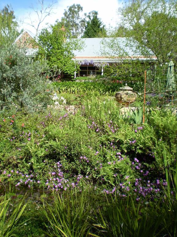 Gasthaus Redgum Hill Country Retreat Balingup Zimmer foto