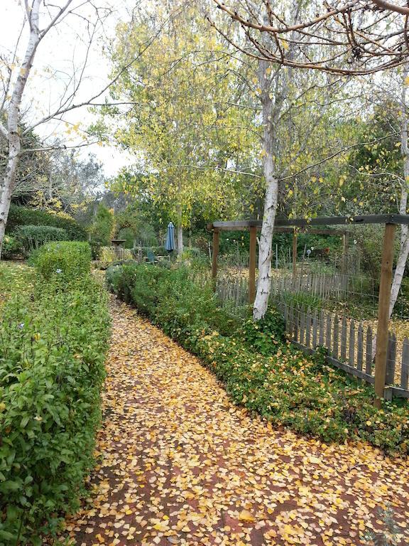 Gasthaus Redgum Hill Country Retreat Balingup Exterior foto