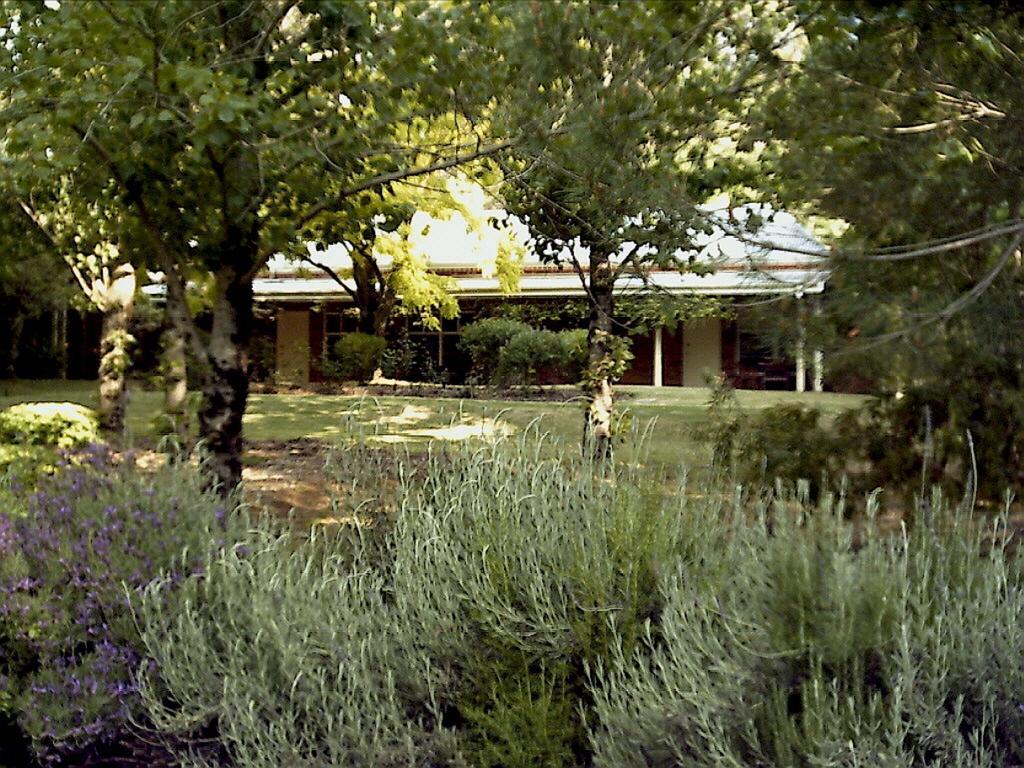 Gasthaus Redgum Hill Country Retreat Balingup Zimmer foto