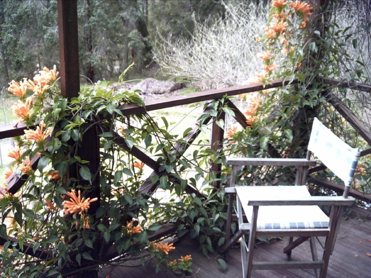 Gasthaus Redgum Hill Country Retreat Balingup Exterior foto