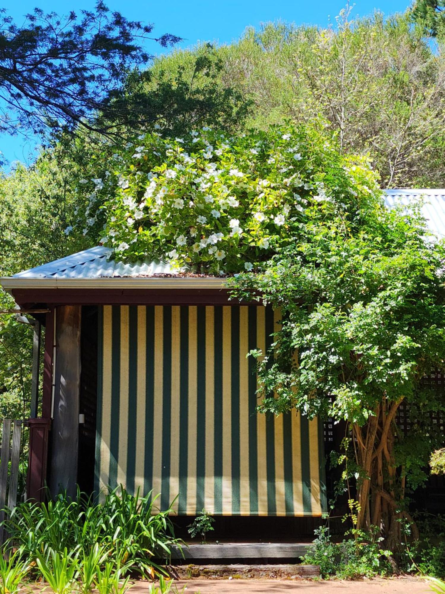Gasthaus Redgum Hill Country Retreat Balingup Exterior foto