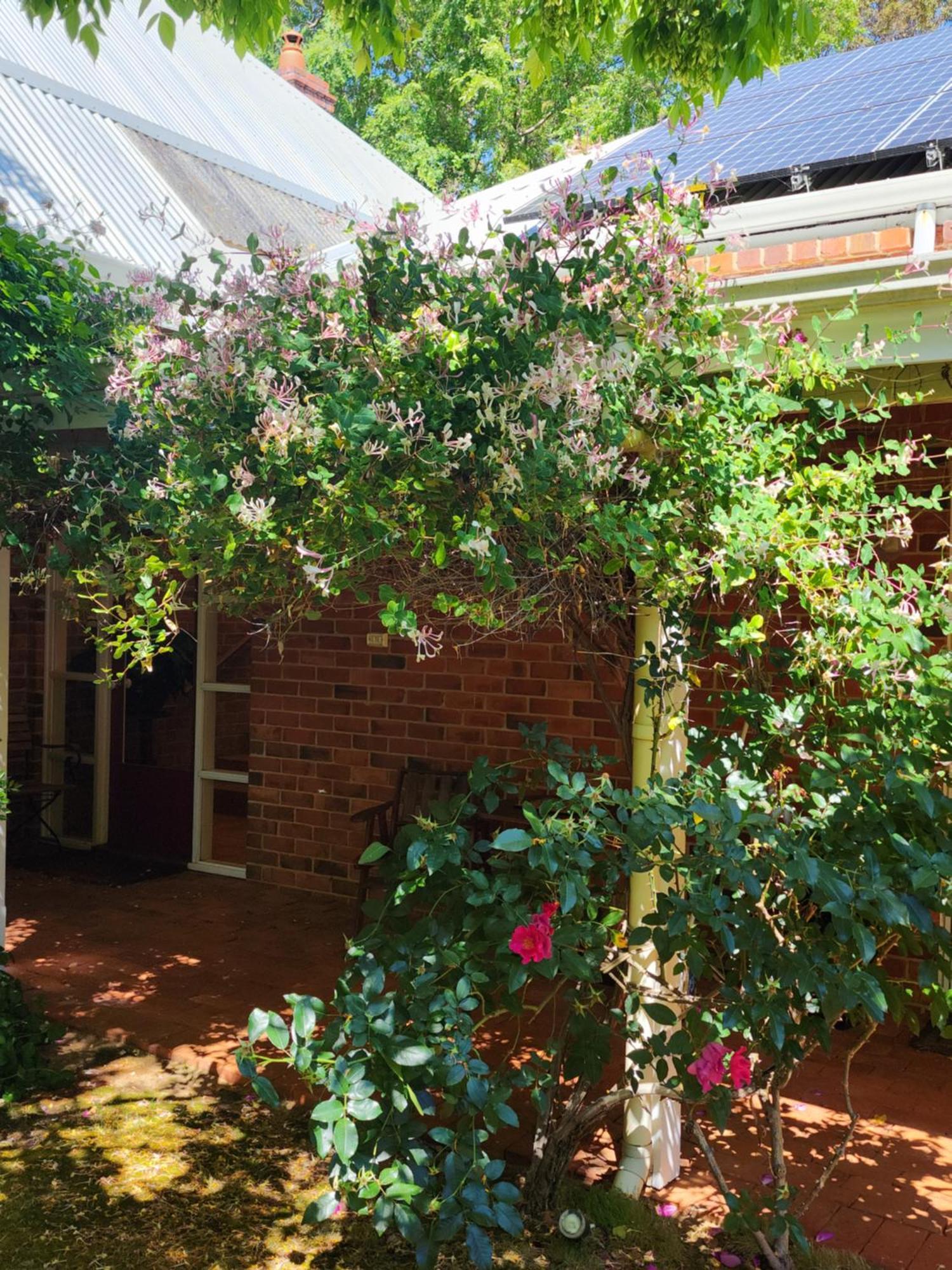 Gasthaus Redgum Hill Country Retreat Balingup Exterior foto