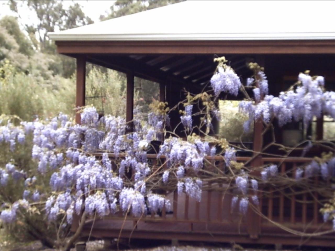 Gasthaus Redgum Hill Country Retreat Balingup Exterior foto
